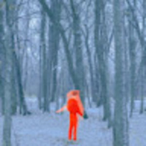 Meet your Posher, Izzy